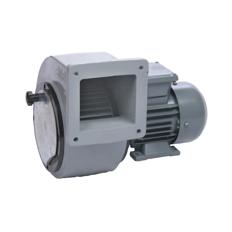 BDS 1M Radyal Fanlar